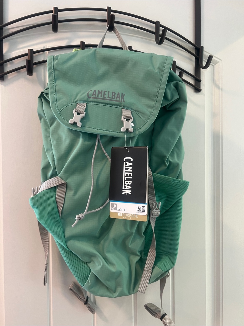 CamelBak Sage Green Daypack Backpack
